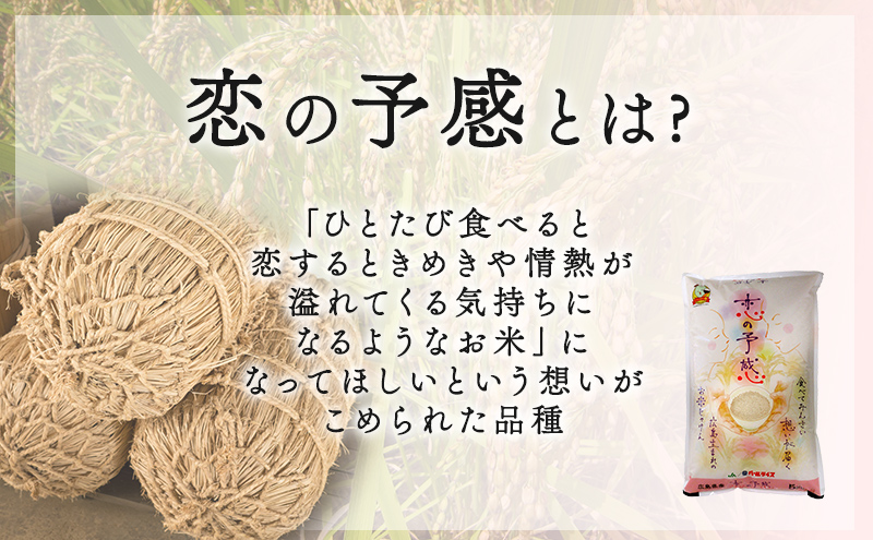 2024年産収穫「恋の予感」精米5kg