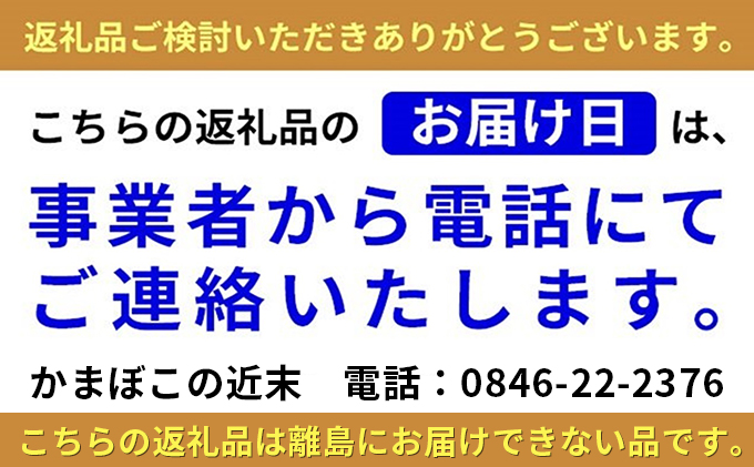 かまぼこ の近末 いろどりセット ※離島への配送不可