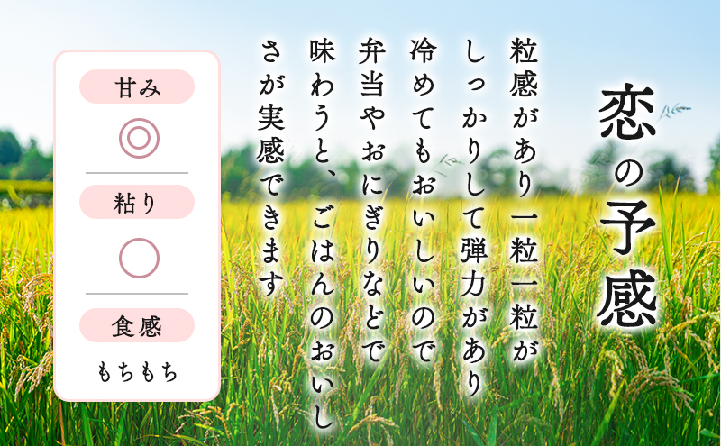 【6ヶ月定期便】2024年産収穫「恋の予感」精米5kg