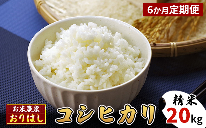 【先行予約】【定期便6ヶ月】お米 コシヒカリ 精米 20kg おにぎり 竹原市 小梨町 お米農家 おりはし【定期便・ 広島県産 白米 名水 甘み おむすび ご飯 定期便 6カ月定期 】 ※2024年9月より順次発送