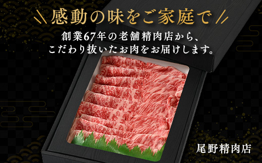 藤原牛 和牛 サーロイン ステーキ 3枚(600g) ※北海道・沖縄・離島への配送不可