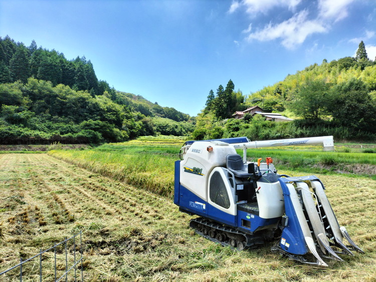 【先行予約】お米 コシヒカリ 精米 30kg ●｜おにぎり 竹原市 小梨町 お米農家 おりはし【 広島県産 白米 名水 甘み おむすび ご飯 】※2025年9月頃より順次発送予定