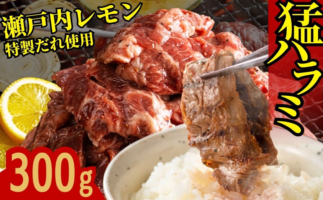 [瀬戸内レモン塩だれ]牛ハラミ 300g×1パック 尾野精肉店の牛ハラミ[肉 訳あり 小分け 真空パック 冷凍 牛肉 ハラミ 味付き 焼肉 BBQ 広島県 竹原市]