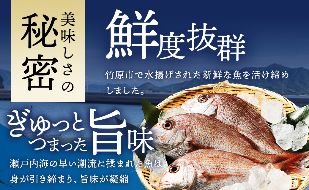 瀬戸内「天然」鯛しゃぶセット（4人前・急速凍結）| 魚介類 海の幸 海鮮 国産 日本産 広島県産 即日加工 急速凍結 鮮度抜群 しゃぶしゃぶ マダイ アラ 魚 瀬戸内海