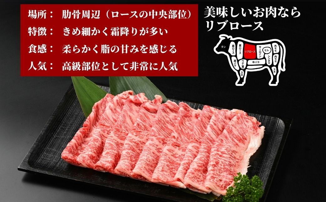 藤原牛 リブロースすき焼き用 2パック(600g) ｜ 牛肉 和牛 国産 リブロース すき焼き しゃぶしゃぶ ロース 冷凍 希少