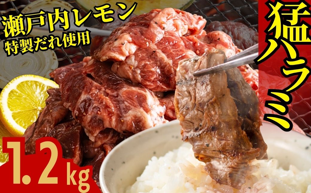 【瀬戸内レモン塩だれ】牛ハラミ 1.2kg (300g×4パック) 尾野精肉店の牛ハラミ【肉 訳あり 小分け 真空パック 冷凍 牛肉 ハラミ 味付き 焼肉 BBQ 広島県 竹原市】