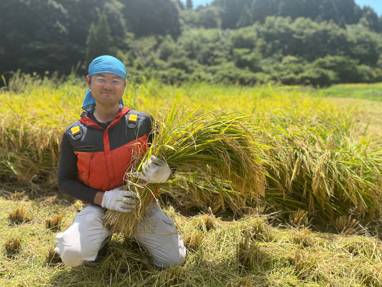 【先行予約】お米 コシヒカリ 精米 30kg ●｜おにぎり 竹原市 小梨町 お米農家 おりはし【 広島県産 白米 名水 甘み おむすび ご飯 】※2025年9月頃より順次発送予定