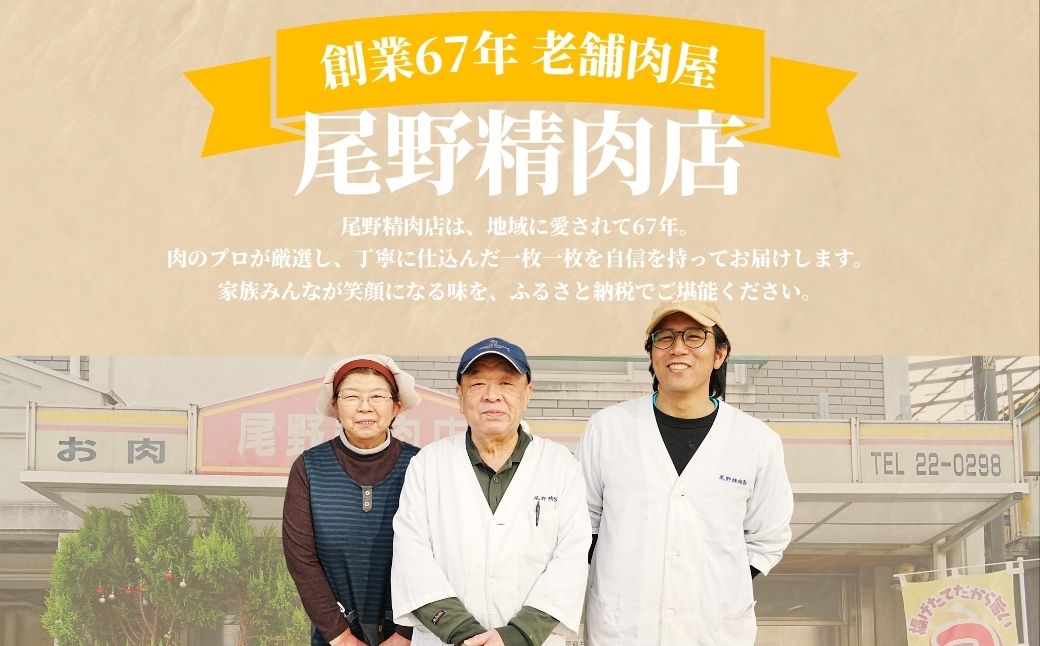 【国産牛たん定期便】国産牛タン 薄切り 600g 3ヶ月定期便 瀬戸内レモン塩だれ 尾野精肉店の牛タン【国産牛 牛肉 牛たん 味付き 焼肉 BBQ 数量限定 真空パック 小分け 冷凍 広島県 竹原市】
