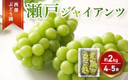 西éšã¶ã©ãå ç¬æžãžã£ã€ã¢ã³ã 4ã5æ¿ çŽ2kg è¡è ãã«ãŒã æç©