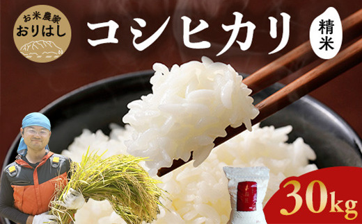 【先行予約】お米 コシヒカリ 精米 30kg ●｜おにぎり 竹原市 小梨町 お米農家 おりはし【 広島県産 白米 名水 甘み おむすび ご飯 】※2025年9月頃より順次発送予定