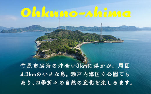 【うさぎ島】休暇村大久野島レストラン（ランチ）利用券（3,000円相当）