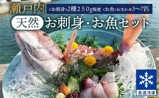 瀬戸内「天然」お刺身・お魚セット（急速冷凍）| 魚介類 海の幸 海鮮 詰め合わせ 国産 日本産 広島県産 即日加工 急速凍結 鮮度抜群 マダイ マダコ 刺身 小さめ 魚 瀬戸内海