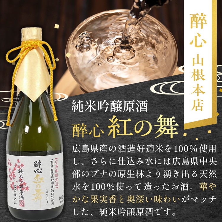 びんご圏域連携　日本酒セットB