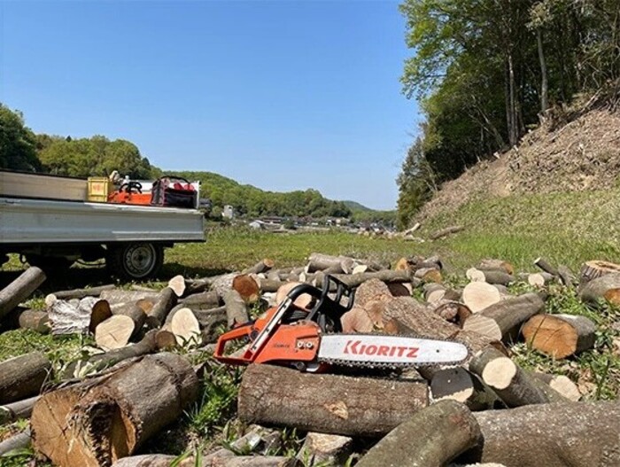 薪ストーブに最適！しっかり暖かい「カシ・クヌギ」乾燥薪（30cm）12kg アウトドア キャンプ 暖炉 焚き火 002005