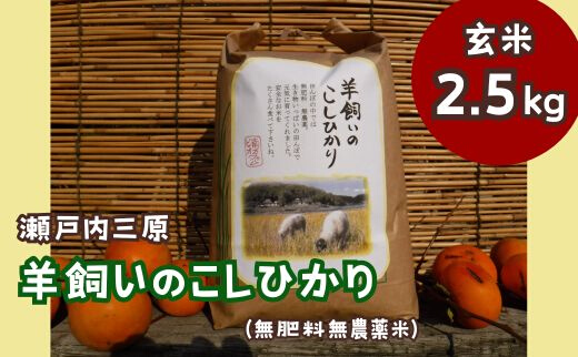 【無農薬】【無肥料】瀬戸内三原 羊飼いのこしひかり 玄米2.5kg 002009