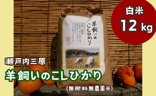 【無農薬】【無肥料】瀬戸内三原 羊飼いのこしひかり 12kg（白米） 002013