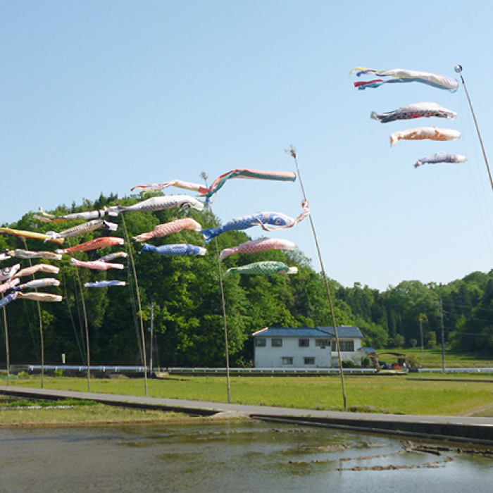 ãæ œå¹æéäžã»ç¡è¥æç¡èŸ²è¬ãç¬æžå
äžå çŸé£Œãã®ããã²ãã çœç±³ 10kg 2025幎9æäžæ¬çºéäºå® ç¬æžå
ããªãã¡ãŒã ãç±³ ãã ã飯 002013