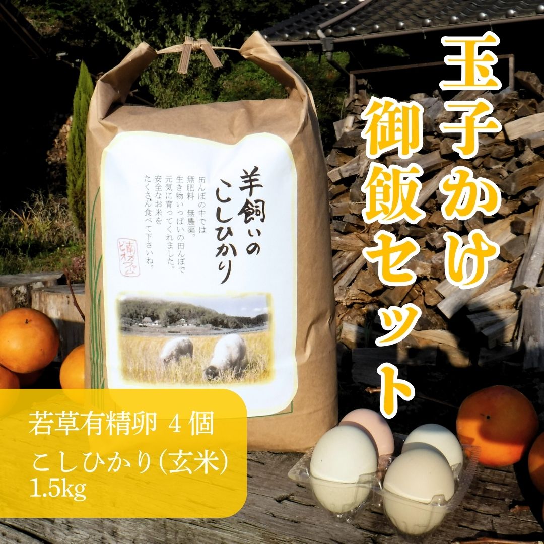 若草有精卵と無農薬こしひかり1.5kg（玄米）の玉子かけ御飯セット 002014