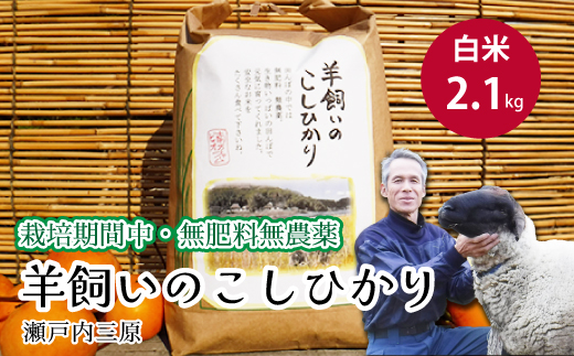 【栽培期間中・無肥料無農薬】瀬戸内三原 羊飼いのこしひかり白米2.1kg 002016