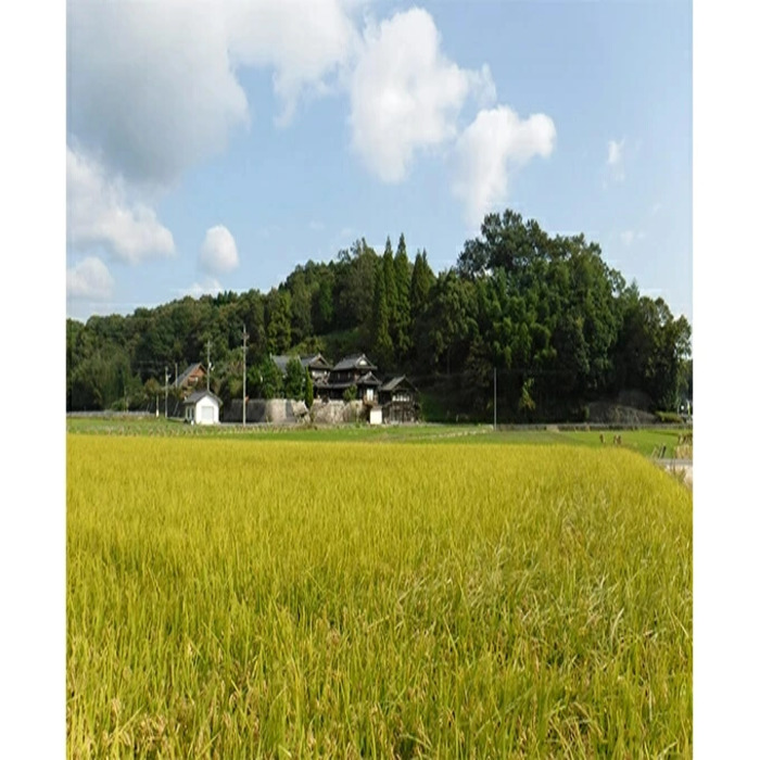 ≪栽培期間中減農薬≫ 三原の絶景白滝山麓の美味しいお米 玄米2.8kg 2025年10月発送予定 瀬戸内ビオファーム ご飯 米 おこめ 002034