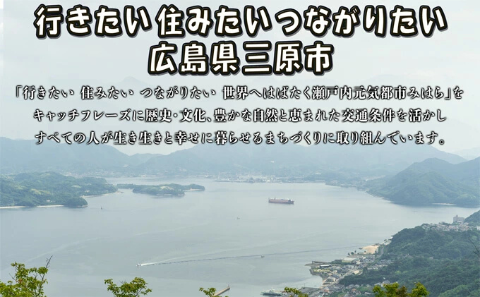 三原やっさラーメン 4食入り とんこつ醤油 熟成生縮れ麵 まじま製麺 とんこつ醬油ラーメン 拉麺 お取り寄せ ギフト 009001