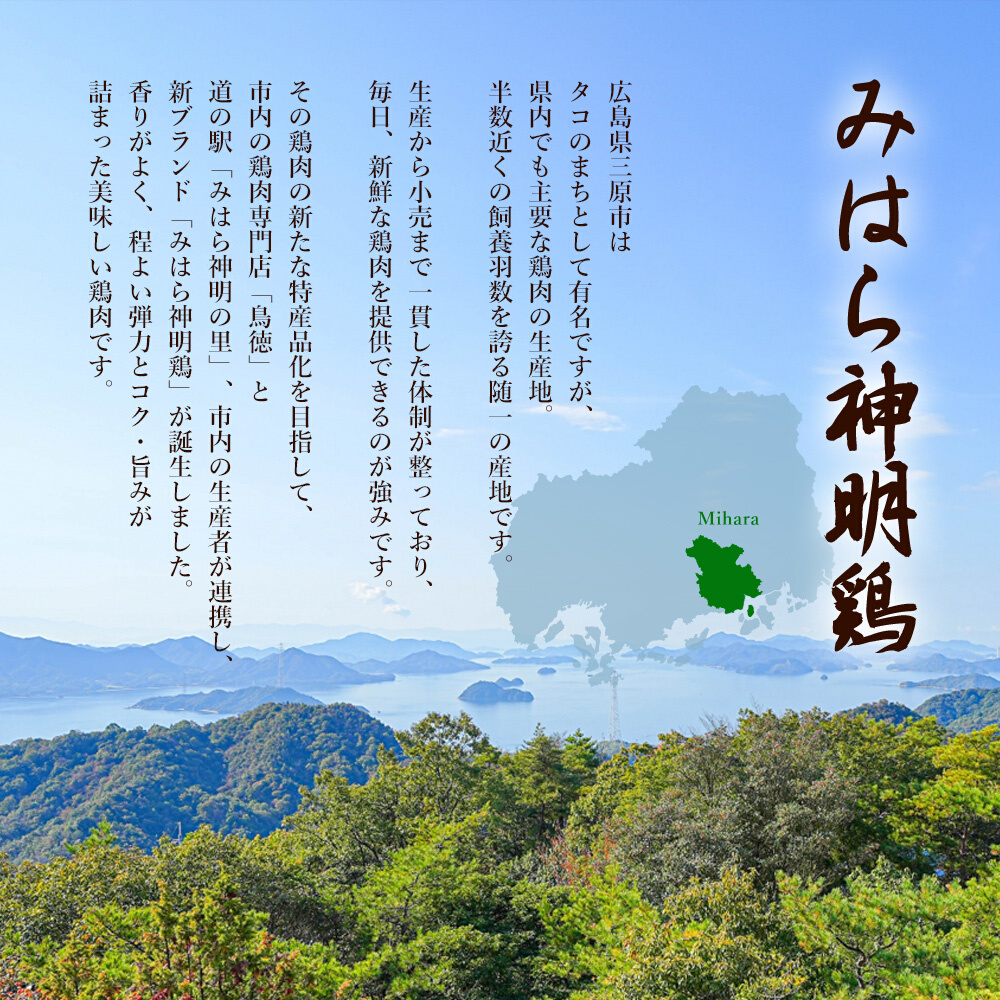 みはら神明鶏の水炊きセット(3～5人前) 鶏肉専門店 鳥徳 鶏肉 鶏 水炊き 鍋セット お肉 お鍋 神明鶏 鶏もも肉 鶏モモ 鳥モモ ぶつ切り つくね 自家製 無添加 コラーゲン 012001