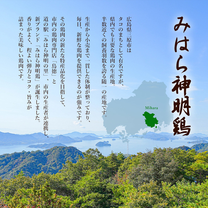 【熊谷喜八監修】みはら神明鶏の水炊きセット(3～5人前) 鶏肉専門店 鳥徳 鶏肉 鶏 水炊き 鍋セット お肉 お鍋 神明鶏 鶏もも肉 鶏モモ 鳥モモ ぶつ切り つくね 自家製 無添加 コラーゲン 012001