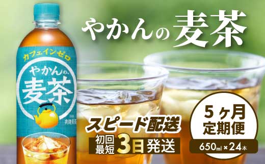 【5か月定期便】やかんの麦茶 from 爽健美茶 PET 650ml×24本(1ケース) 最短3日で発送 ペットボトル お茶 むぎ茶 飲料 カフェインゼロ 箱買い まとめ買い 防災 備蓄 014008
