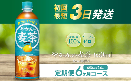 【6か月定期便】やかんの麦茶 from 爽健美茶 PET 650ml×24本(1ケース) 最短3日で発送 ペットボトル お茶 むぎ茶 飲料 カフェインゼロ 箱買い まとめ買い 防災 備蓄 014009