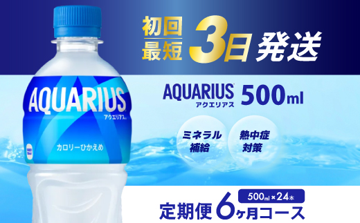 【6か月定期便】アクエリアス PET 500ml×24本(1ケース) 最短3日で発送 スポーツドリンク スポーツ飲料 清涼飲料水 水分補給 ペットボトル 箱買い まとめ買い 014018