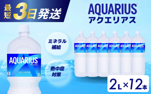 アクエリアス PET 2L×12本(6本×2ケース) 最短3日で発送 スポーツドリンク スポーツ飲料 清涼飲料水 水分補給 ペットボトル 箱買い まとめ買い 014019
