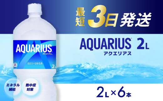 アクエリアス PET 2L×6本  最短3日で発送 スポーツドリンク スポーツ飲料 清涼飲料水 水分補給 ペットボトル 箱買い まとめ買い 備蓄 災害用 014043