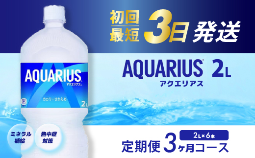 【3か月定期便】アクエリアス PET 2L×6本 最短3日で発送 スポーツドリンク スポーツ飲料 清涼飲料水 水分補給 ペットボトル 箱買い まとめ買い 備蓄 災害用 014044