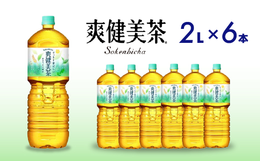 爽健美茶 PET 2L×6本(1ケース) お茶 飲料 ソフトドリンク カフェインゼロ ペットボトル 箱買い まとめ買い 備蓄 災害 014062