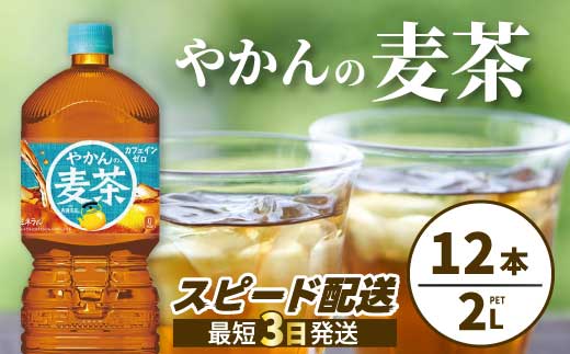 やかんの麦茶 from 爽健美茶 PET 2L×12本(6本×2ケース) ペットボトル お茶 むぎ茶 飲料 カフェインゼロ 箱買い まとめ買い 防災 備蓄 014067