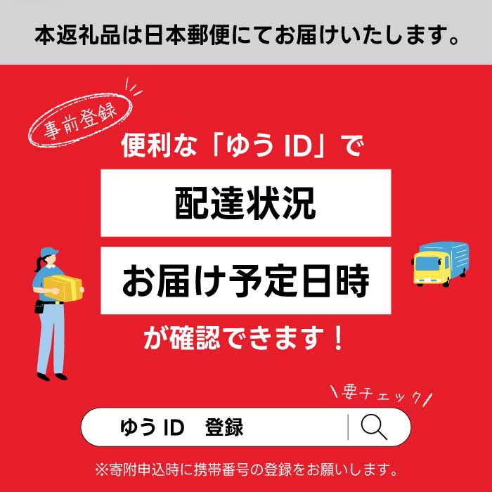 【3か月定期便】ジョージア カフェラテ 500mlPET 24本 3回お届け 最短3日で発送 箱 ケース まとめ買い 014120