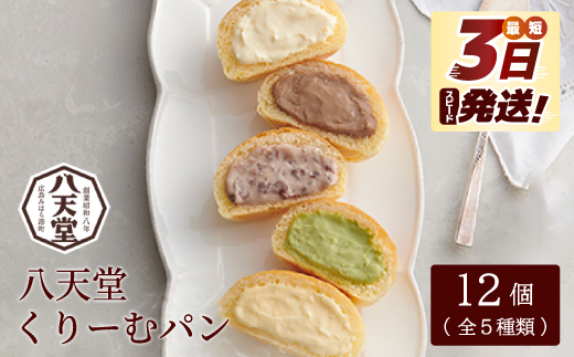 【八天堂】くりーむパン12個詰合せ(全5種) 最短3日発送 クリームパン 菓子パン スイーツ とろける食感 食べ比べ カスタード 生クリーム チョコレート 抹茶 冷凍 冷凍配送 ギフト 子どもが喜ぶ 人気 詰め合わせ 菓子 ランキング 高評価 広島県三原市 015004