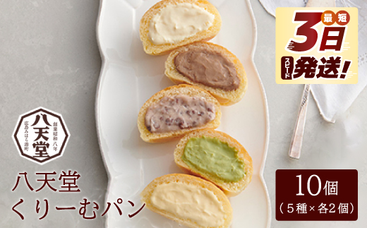 【八天堂】とろけるくりーむパン 10個詰合せ (5種×2個) 最短3日発送 クリームパン 菓子パン スイーツ とろける食感 食べ比べ カスタード 生クリーム チョコレート 抹茶 冷凍 冷凍配送 ギフト 子どもが喜ぶ 人気 詰め合わせ 菓子 ランキング 高評価 広島県三原市 015014