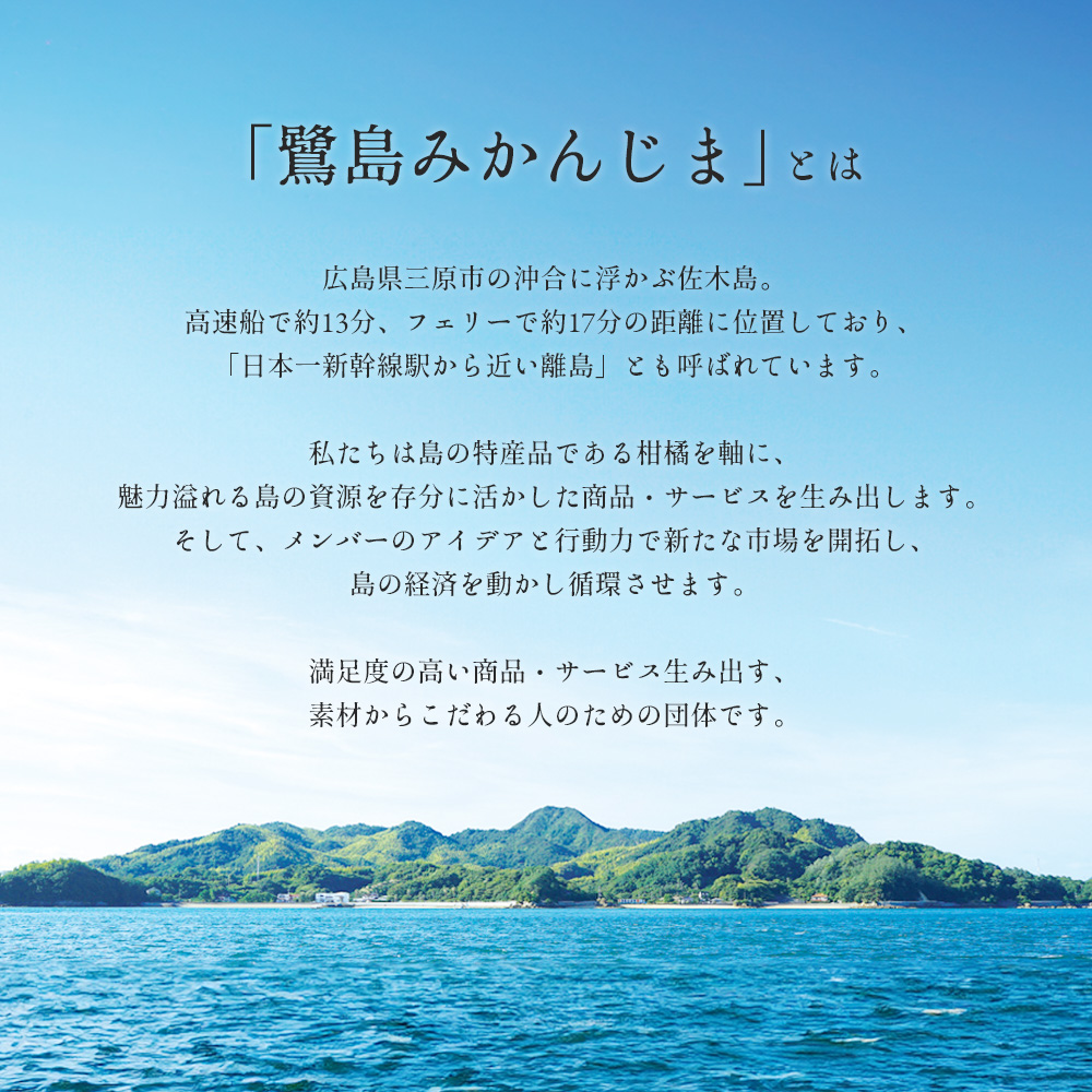 【先行予約】はるみ約5kg《果遊工房》【2025年2月以降発送】佐木島 鷺島みかんじま フルーツ 蜜柑 柑橘 果物 ミカン ジューシー 甘いみかん 産地直送 お取り寄せ 017010