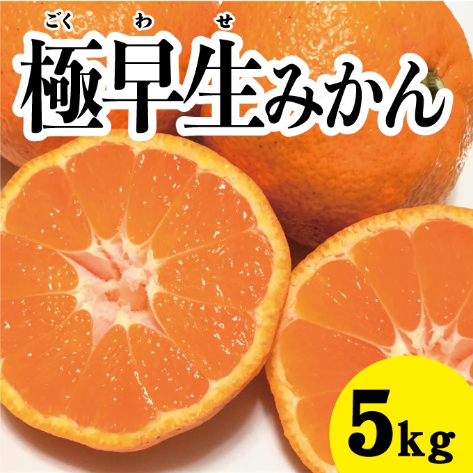 【先行予約】極早生温州みかん約5kg【2024年10月中旬以降発送】佐木島 鷺島みかんじま フルーツ 蜜柑 柑橘 果物 みかん ミカン 産地直送 017012 