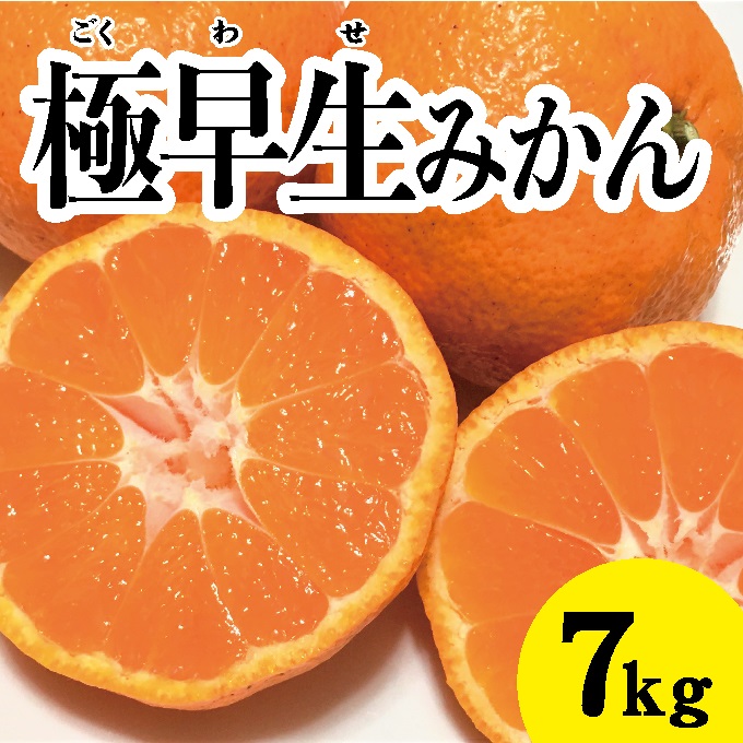 【先行予約】極早生温州みかん約7kg【2024年10月中旬以降発送】佐木島 鷺島みかんじま フルーツ 蜜柑 柑橘 果物 みかん ミカン 産地直送 017013