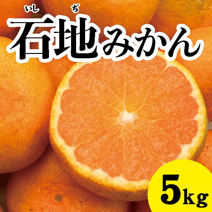 【先行予約】石地みかん約5kg【2024年12月以降発送】広島 三原 佐木島 鷺島みかんじま みかん フルーツ 蜜柑 柑橘 果物 産地直送 お取り寄せ 017016