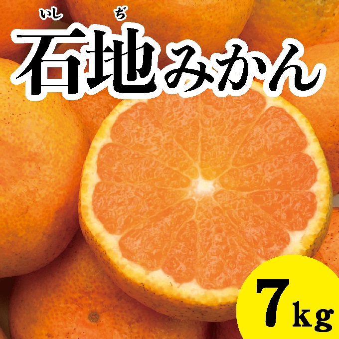 【先行予約】石地みかん約7kg【2024年12月以降発送】広島 三原 佐木島 鷺島みかんじま みかん フルーツ ミカン 蜜柑 柑橘 果物 産地直送 お取り寄せ 017017