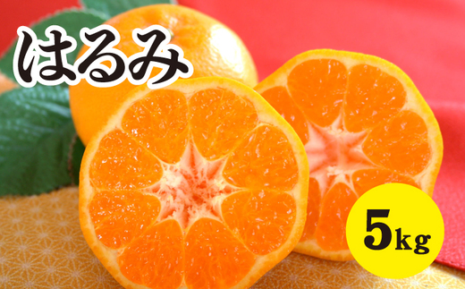 ã¿ãã ææ©ãå
è¡åä»ãã2026幎2æä»¥éçºéãçããŠãžã¥ãŒã·ãŒïŒç¬æžå
ããããŸã®ã¯ãã¿ ïŒçŽ5kgïŒ åºå³¶ äžå äœæšå³¶ 鷺島ã¿ããã㟠ã¿ãã 017022