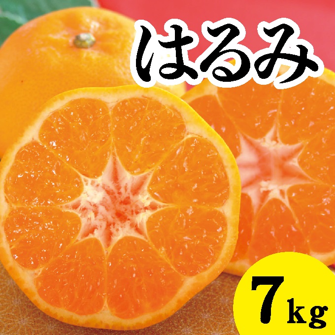 【先行予約】はるみ約7kg【2025年2月以降発送】広島 三原 佐木島 鷺島みかんじま フルーツ 蜜柑 柑橘 果物 みかん ミカン 産地直送 お取り寄せ 017023