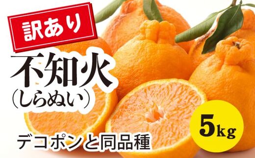 みかん 柑橘【先行受付】【2026年3月以降発送】甘さ抜群訳ありしらぬい！デコちゃん【デコポンと同品種】＜約5kg＞ 広島 三原 佐木島 鷺島みかんじま 017048