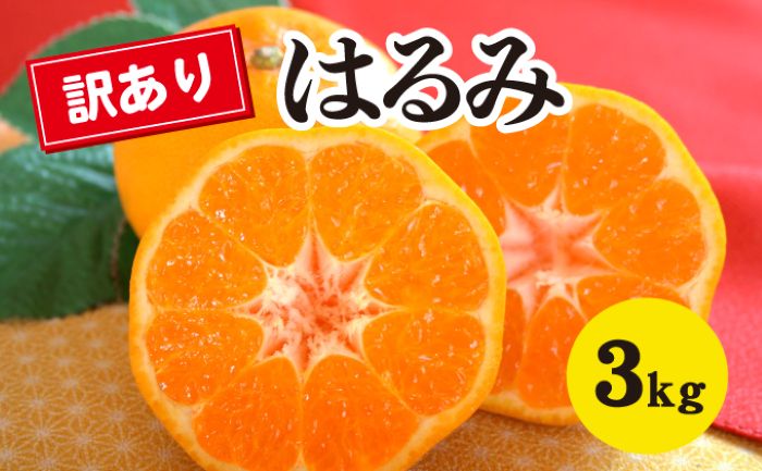  【ふるさと納税】【数量限定】≪訳アリ≫はるみ ＜約３kg＞  密柑 完熟 果物類 柑橘類 みかん フルーツ 糖度 甘い 濃厚 コク ジューシー 国産 広島三原産 産地直送 傷 017050