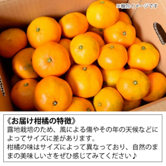  【ふるさと納税】【数量限定】≪訳アリ≫はるみ ＜約３kg＞  密柑 完熟 果物類 柑橘類 みかん フルーツ 糖度 甘い 濃厚 コク ジューシー 国産 広島三原産 産地直送 傷 017050