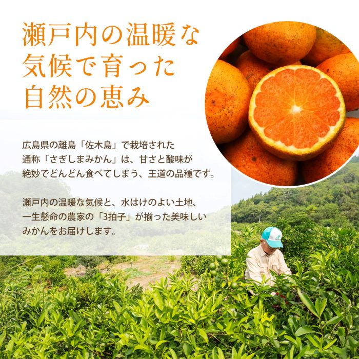  【ふるさと納税】【数量限定】≪訳アリ≫はるみ ＜約３kg＞  密柑 完熟 果物類 柑橘類 みかん フルーツ 糖度 甘い 濃厚 コク ジューシー 国産 広島三原産 産地直送 傷 017050