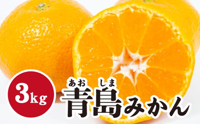 【ふるさと納税】【数量限定】青島ミカン ＜約３kg＞ 家庭用 青島みかん 完熟 果物類 柑橘類 みかん フルーツ 糖度 甘い 濃厚 コク ジューシー 国産 広島三原産 産地直送 017053